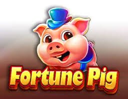 45k bet 45k bet